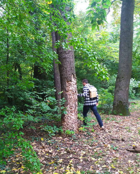 férfi az erdőben papír táskával